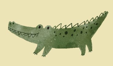 Crocodile